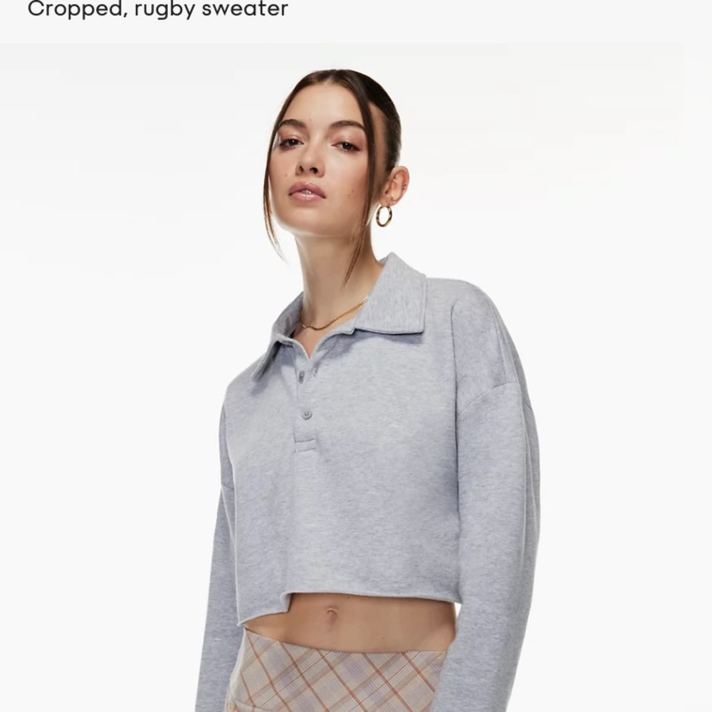 Aritzia Sunday Best cropped rugby fleece in gray